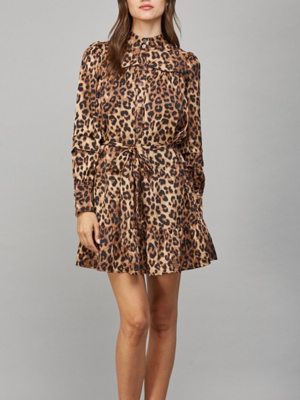 NWT Fate Animal Print Satin Tie Waist Shirt Dress